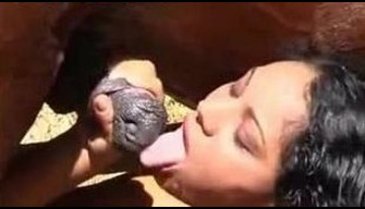 Horse porn a latina with a wet cunt swallows cum