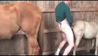 Paard zoo rustieke zoophile neukt pony met uiterste tederheid