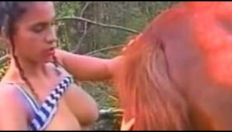 Attractive zoophiles with tight tits fondle a horse zooporno video