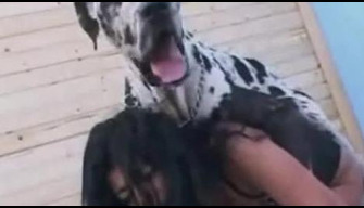 La peau sombre brune en bas frange avec un Dalmatien