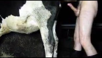 Uncomplicated Russian queer in rubber boots fucked a cow and got an orgasm