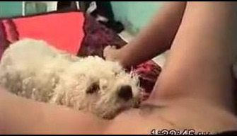 Oral porn videos of a white doggy licking a womans pussy