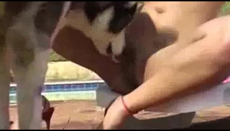 Fragile Brazilian woman fucks with a dog on the street pornozoo video private