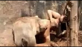 Mistreț tras-o imorale iubitor de animale într-un luminiș zoo porno video uita-te și descărca