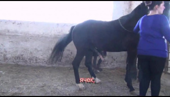 Molhado russo zoófila chupa seus cavalos big shot vídeo oral zoo