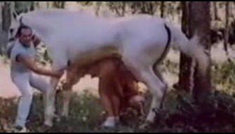 Porn zoo retro funny porn horse fucks a woman