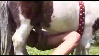 A short horse fucks a naked zoophile in the cap of a zoo porn video